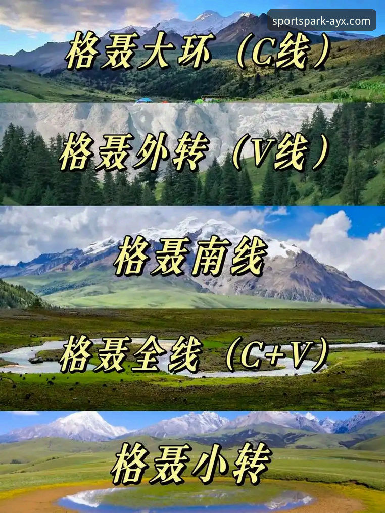 体育娱乐平台 爱游戏体育平台使用教程:从下载到竞猜的全流程操作指南