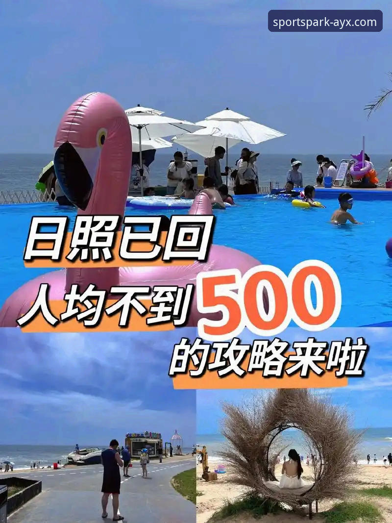 5个维度深度解读：爱游戏体育APP对比分析，新手必看指南